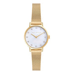 Ted Baker Women's Gold Tone BKPSTF405