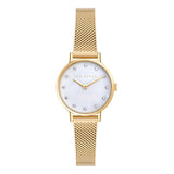 Ted Baker Women's Gold Tone BKPSTF405