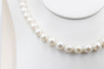 Fresh water Pearl Necklet with stg Clasps 9 to 10mm