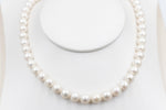 Fresh water Pearl Necklet with stg Clasps 8 to 8.5mm